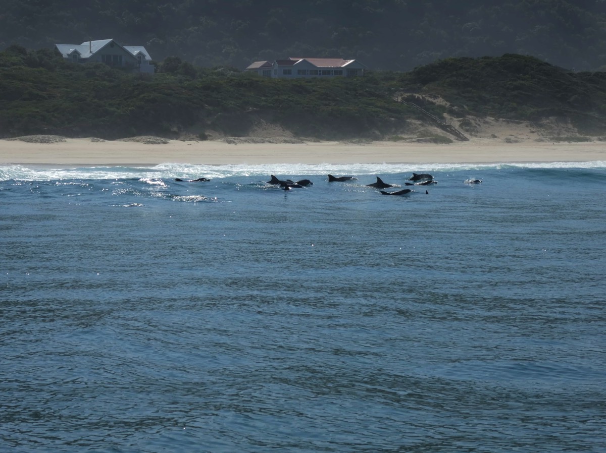 Stacks Image 7